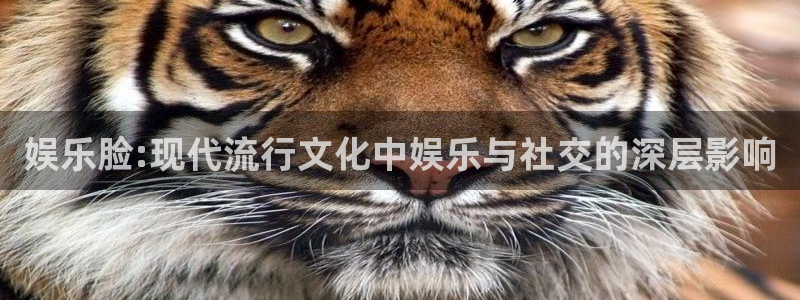 永信贵宾会官网