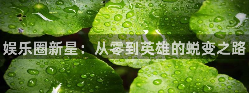 永信贵宾会大厅