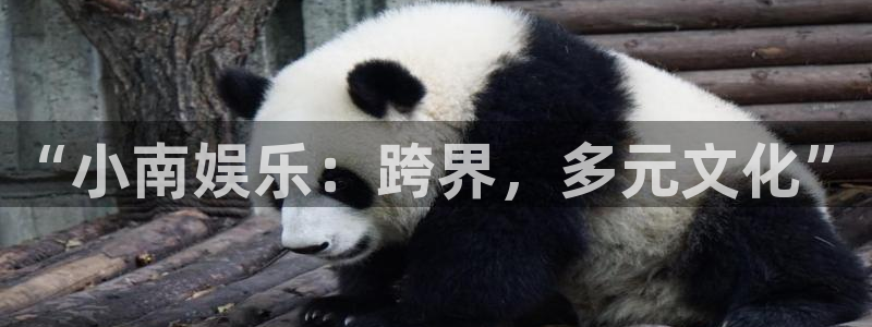 永信贵宾会优惠大厅