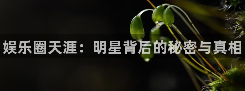 永信贵宾会网址