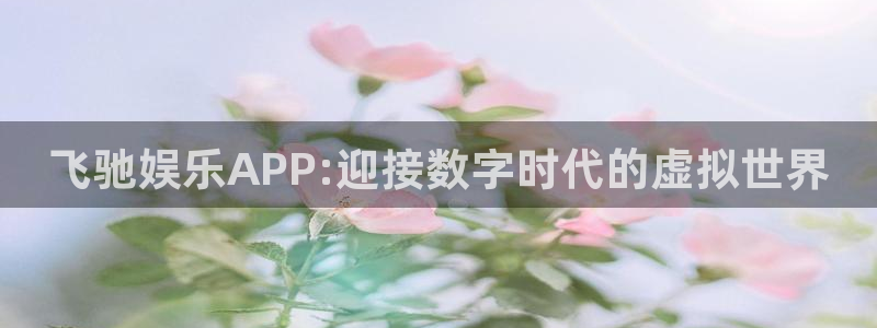 永信贵宾会手机版